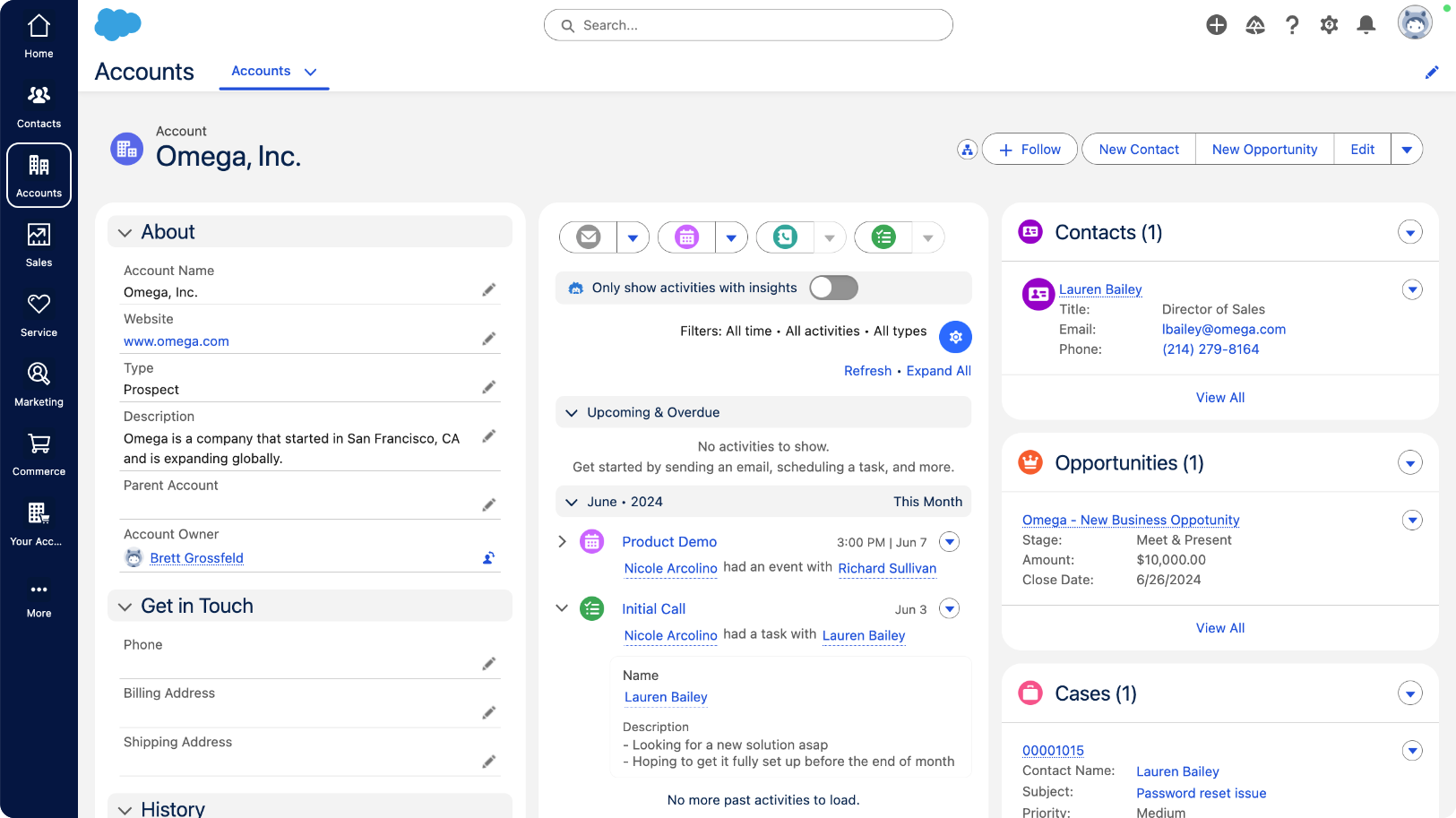 Salesforce Bildschirm